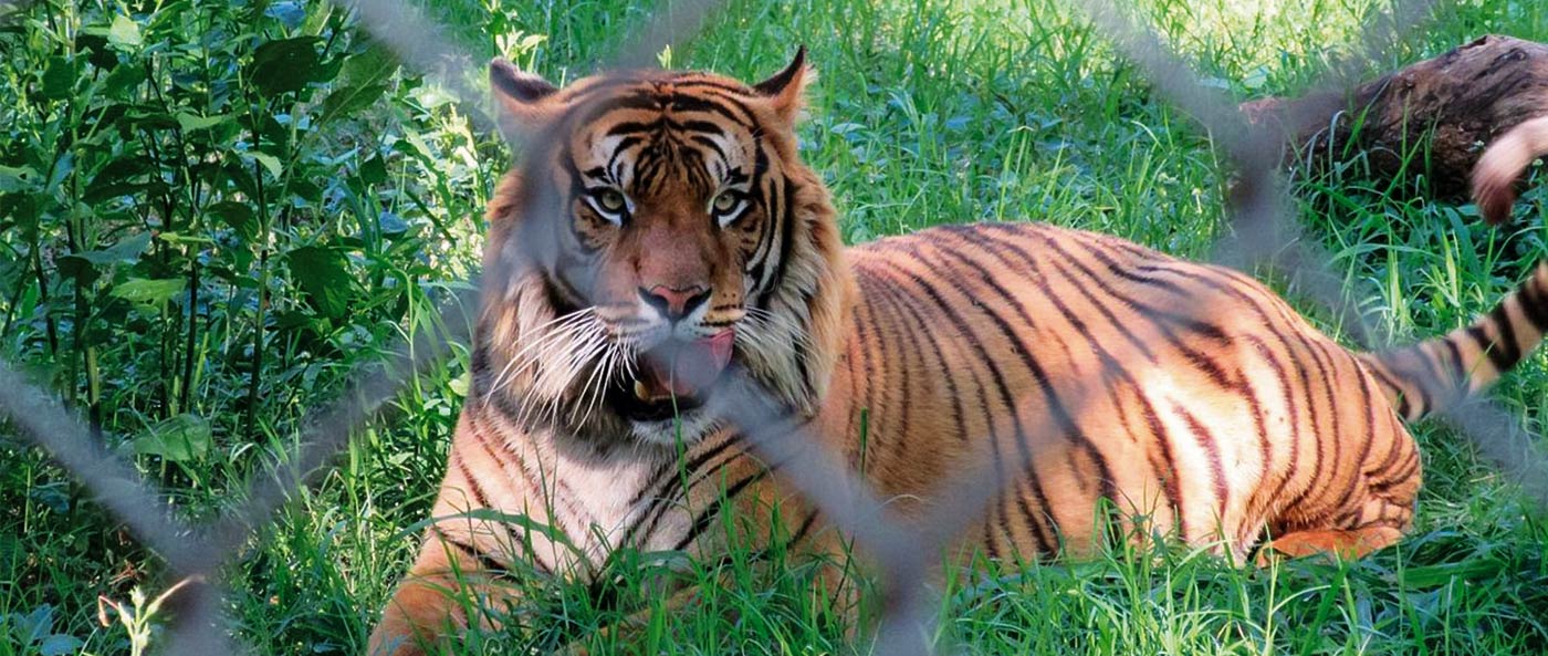 Zoológico y jardín botánico