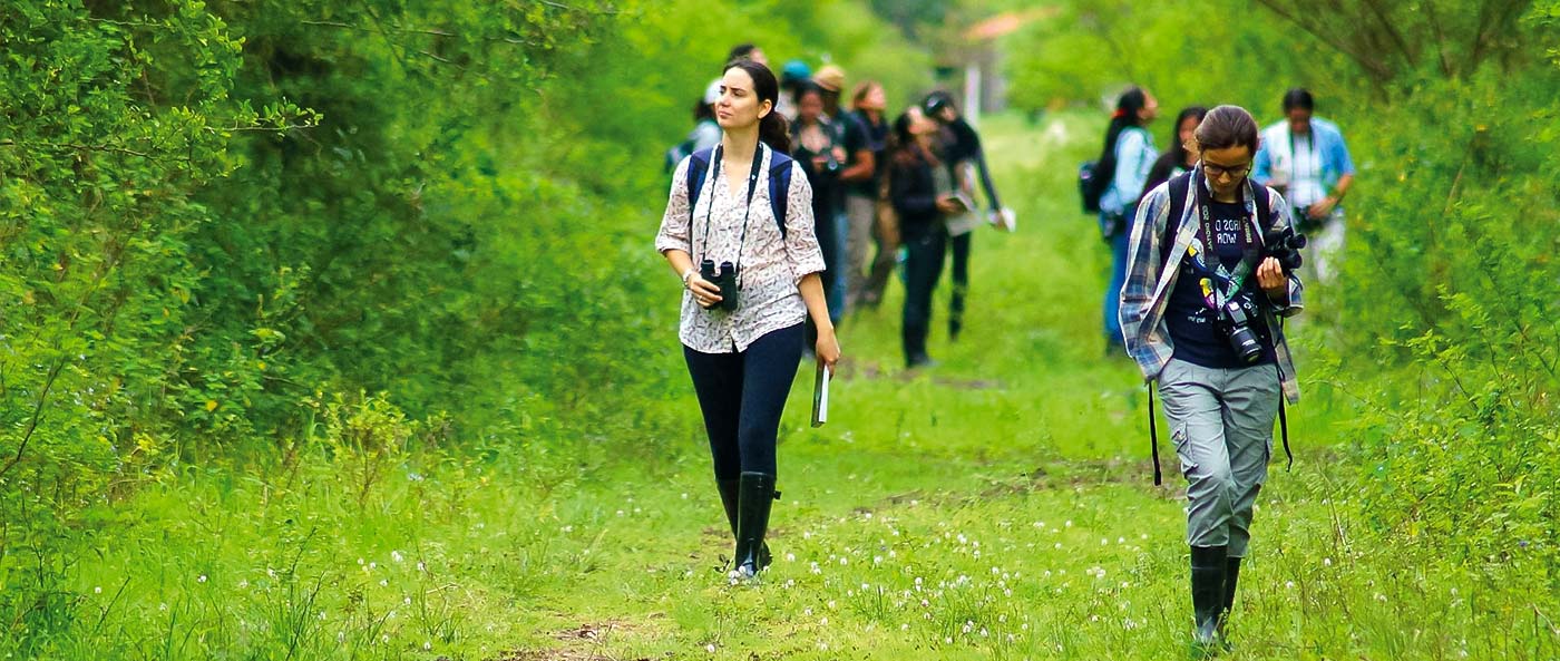 Viaje de observación de aves a Chaco’i